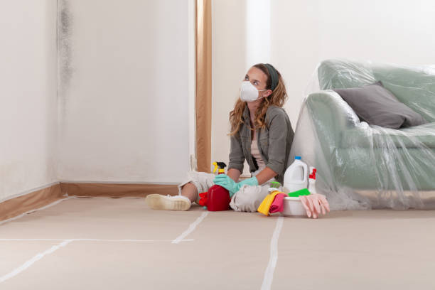 Reliable Attic Mold Removal contractor in Brookeville, MD by WQB Mold Removal