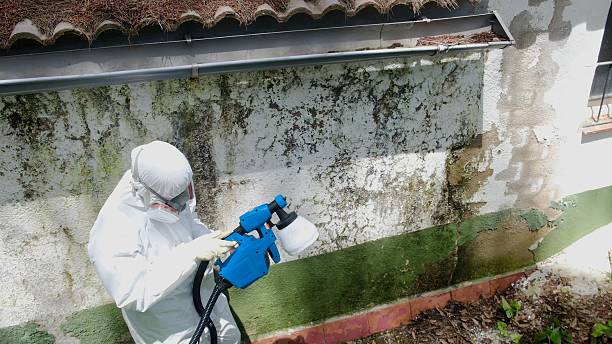 Top rated local Attic Mold Removal specialists in Brookeville, MD